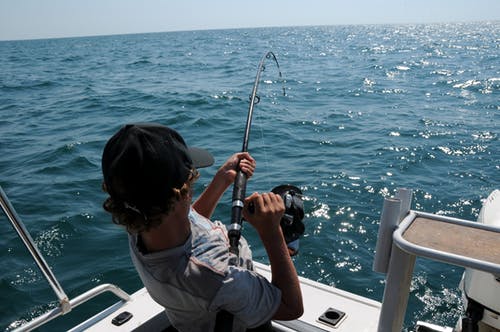 A Fishing Tour for Every Season: 6 Best Seasonal Fishing Experiences